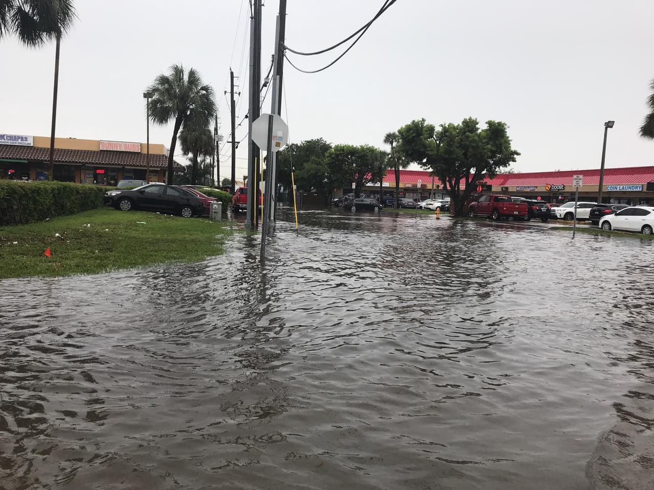 Se espera que en la tarde los cielos sigan mayormente nublados y que las temperaturas lleguen a los 86 grados Fahrenheit en Miami.
<br>