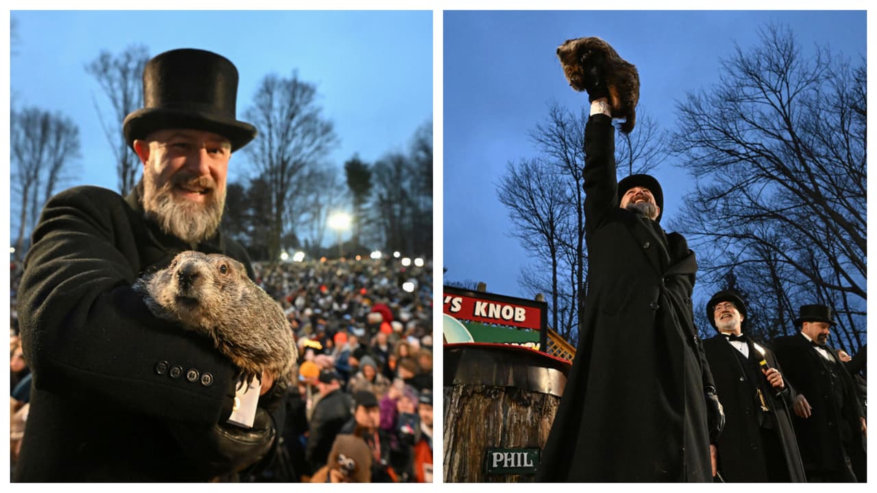 ¿Hay ciencia detrás del Día de la Marmota?, un experto explica el secreto de esta popular tradición