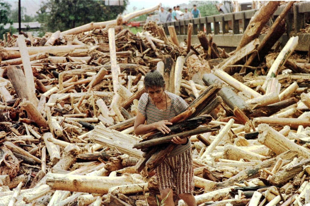 Una mujer sin hogar recoge un poco de madera el 31 de octubre de 1998, a partir de un montón de árboles desarraigados dejados por el paso del huracán Mitch en Tocoa, en el distrito de Colon, en el norte de Honduras.