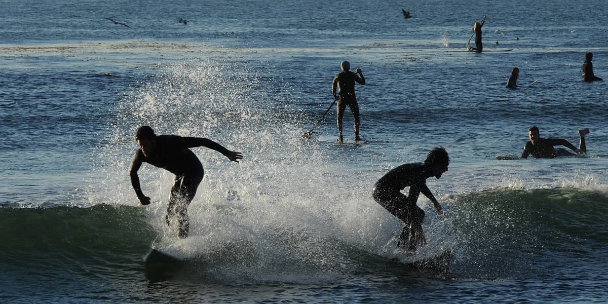 En un 
<b>año marcado por la pandemia del <a href="https://www.univision.com/temas/coronavirus">coronavirus</a></b> que provocó fuertes restricciones, las playas se convirtieron en un lugar “vital” para las personas. “El condado de Los Ángeles y otros lugares a lo largo de nuestra costa registraron millones más de bañistas en el verano de 2020 que en años anteriores”, según el reporte.
