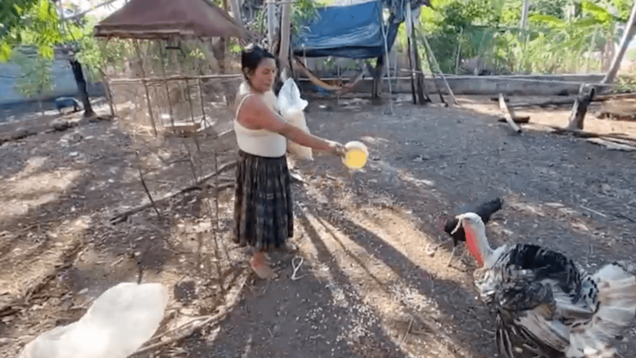 <b><a href="https://www.univision.com/local/san-antonio-kwex/nuevo-video-inmigrante-de-guatemala-raymundo-caal-retando-desde-arriba-del-arbol-a-ice" target="_blank">La mamá de Raymundo dice que esto podría tratarse de una confusión</a></b>, porque ICE lo ha estado identificando como Raúl Ical en un comunicado. Sin embargo, en una orden de arresto federal que tiene 
<i>Univision San Antonio</i>, 
<b>lo identifican con ambos nombres: Raúl Ical y Raymundo Caal-Caal.</b> “¿Por qué motivo lo buscan? Porque 
<b>él no es un criminal”</b>, dice la madre.