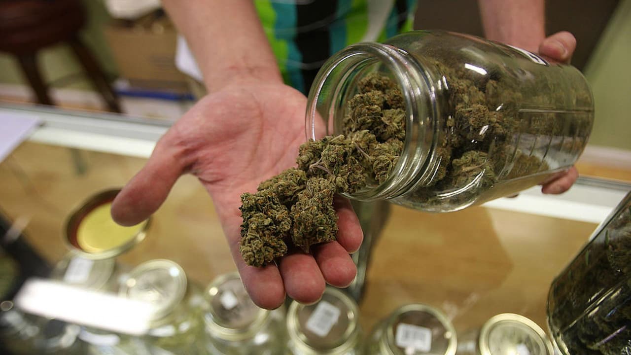 Negocios legales e ilícitos: las dos caras de la moneda de la industria de la marihuana en California