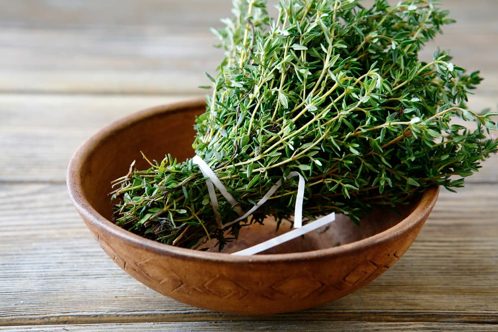 Utiliza plantas con olor fuerte como la lavanda, el tomillo, el perifollo, el laurel y el clavo de olor, pues son aromas desagradables para estos diminutos insectos. También puedes ayudarte de aceites esenciales. Coloca hojas o gotitas en los caminos que suelen utilizar las hormigas.