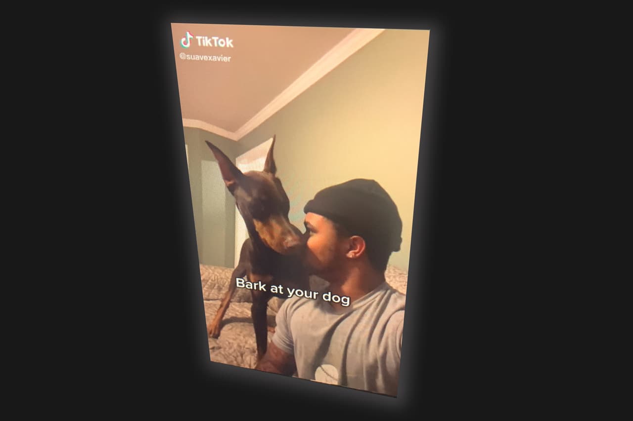 <b>Tiktok</b>
<br>
<br>Unos 167 millones de videos son vistos por los usuarios de esta red social cada minuto. 
<br>
<br>Según el estudio, los nuevos usuarios de internet provendrán de los países que se han atrasado en incorporar a sus habitantes a la red.
<br>