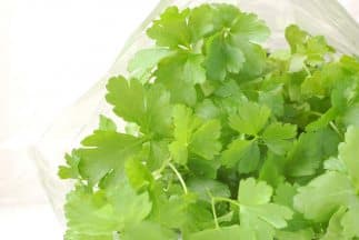 Razones por las que el cilantro no puede faltar en tu hogar