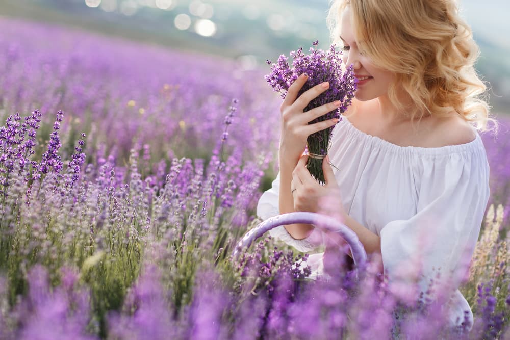 <b>LAVANDA</b>
<br>Las propiedades que posee la lavanda son relajantes, antisépticas y depurativas, por lo que es genial para atraer energías muy positivas.