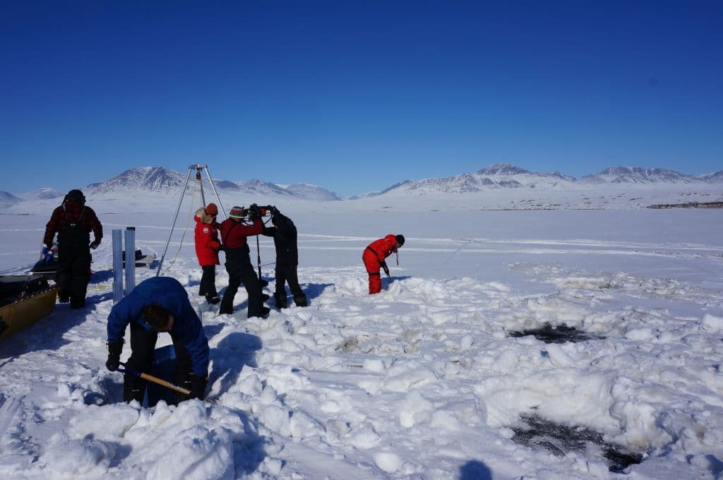 Ni de mosquitos ni de murciélagos, la próxima pandemia podría venir del hielo derretido por el calentamiento global