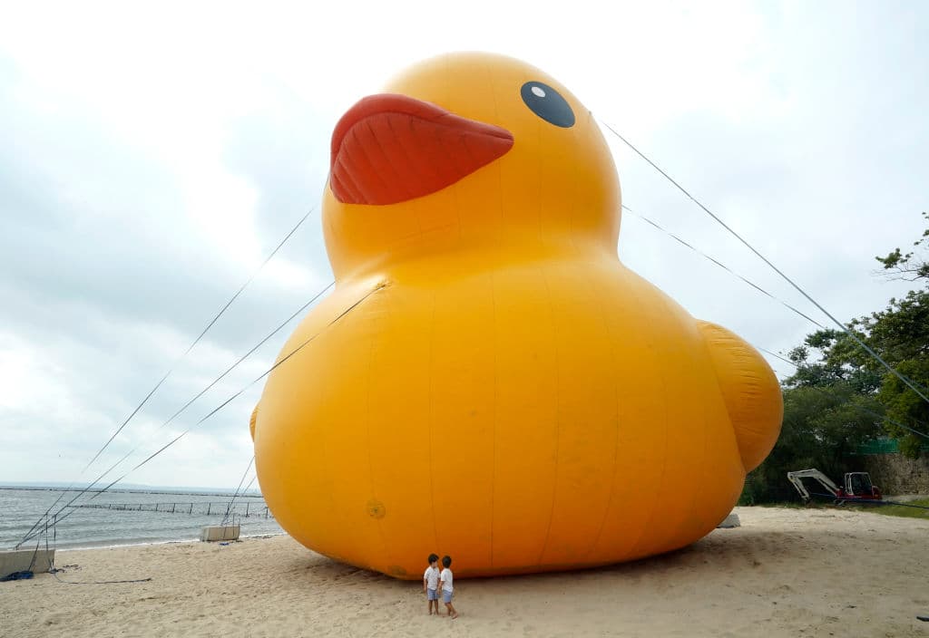 "Mama Duck" solo estaría 48 horas en Rye, donde los pequeños quedaban este sábado 17 de agosto sin palabras al verla tan inmensa.