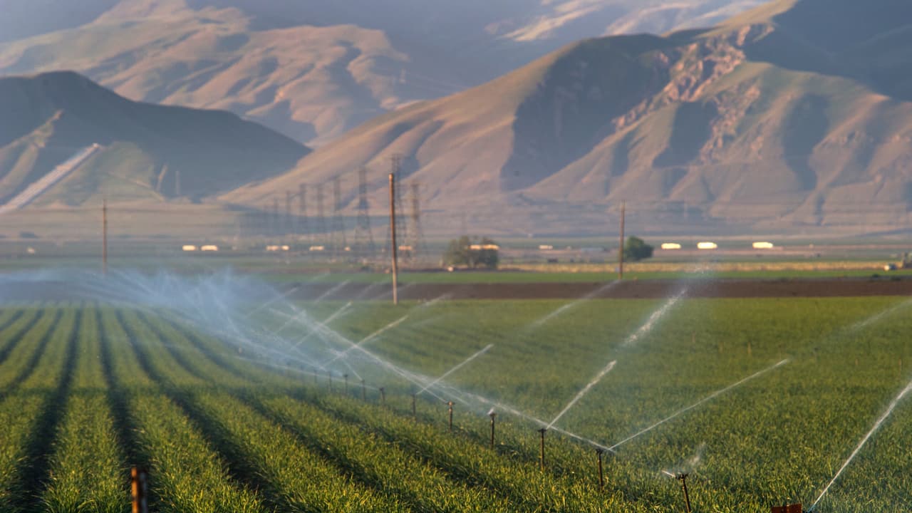 Deshielo al embalse que sirve aguas a Bakersfield disminuye al 26% de su cantidad normal