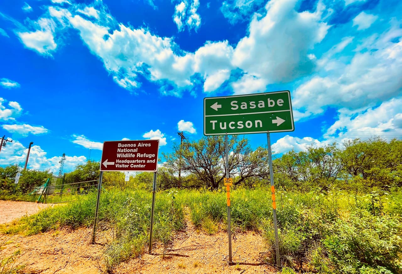 Este es el panorama del desierto en esta temporada de monzón en la frontera de Arizona.