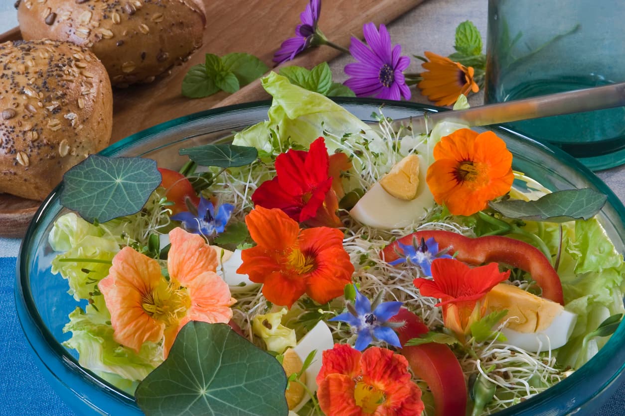 Flores comestibles: además de bonitas, son beneficiosas para la salud 
