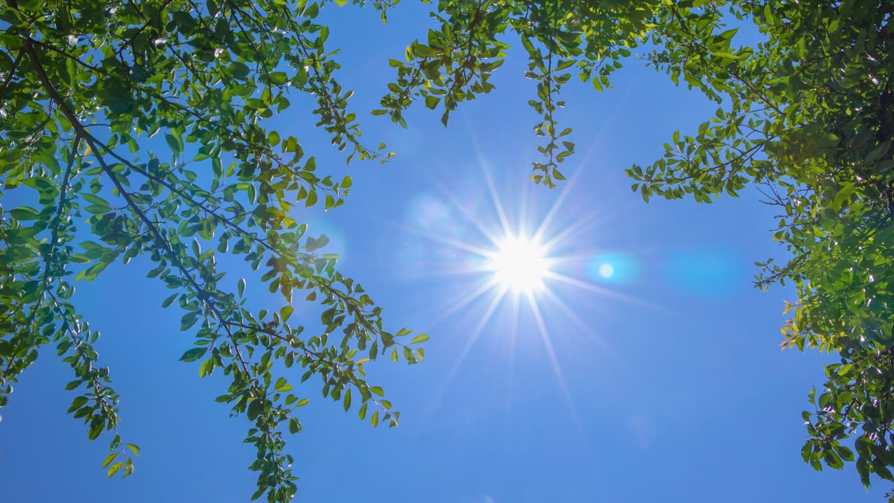 El verano comienza oficialmente en Texas
<b> el viernes 20 de junio de 2025 a las 10:42 p.m. hora local.</b> Pero… ¿qué significa exactamente eso? Aquí 
<b>te lo explicamos de forma sencilla.</b>