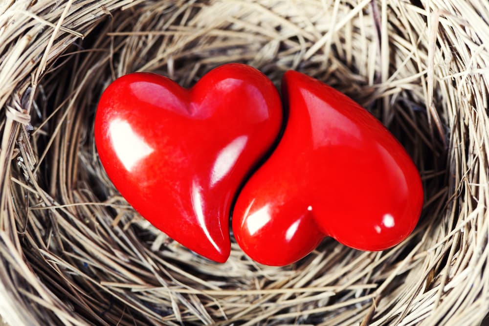 Según la forma de expresar la sexualidad y el amor los amantes suelen considerarse yang o yin. Esto no significa que sean ciento por ciento uno u otro sino que en el balance impera un poco más uno de los dos.