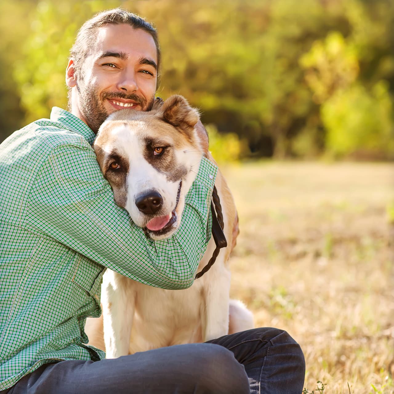 Permiso escrito. Si el lugar donde vives es rentado, deberás presentar una aprobación provista por el propietario, informa el sitio de la Sociedad de Bienestar del Animal (PAWS, por sus siglas en inglés).