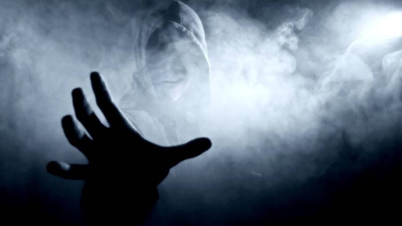 <b>El hombre de la carne</b>
<br>En la 
<b>habitación 220</b> se puede encontrar a un extraño huésped que en vida era conocido por su extraña costumbre de colgar carne cruda en el candelabro del cuarto. En 1980 fue encontrado muerto en la habitación y desde entonces, es común que la televisión actúe por sí sola, así como informes de manos frías de hombre que tocan a los invitados mientras duermen.