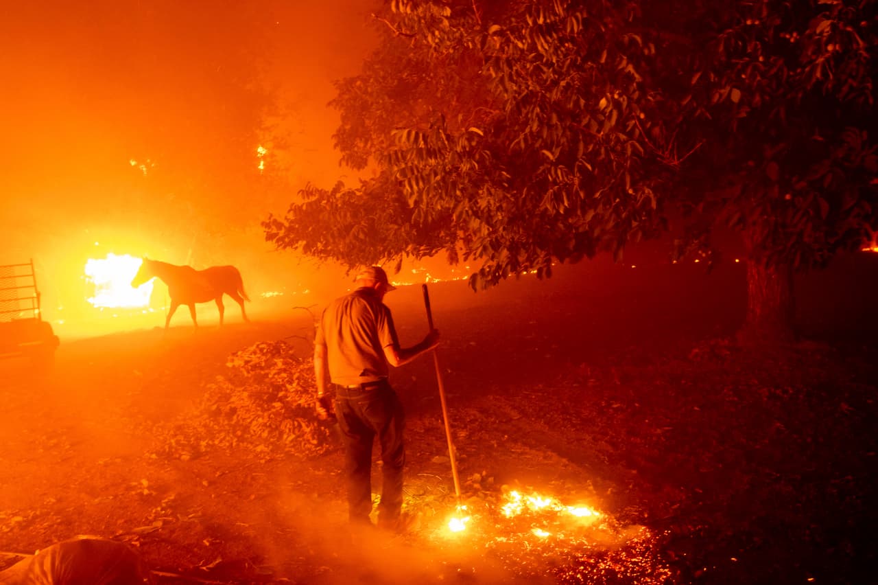 Los fuegos han arrasado 
<a href="https://www.univision.com/local/san-francisco-kdtv/la-historia-se-repite-incendios-fuera-de-control-y-cientos-de-evacuados-en-el-norte-de-california-fotos" target="_blank">a su paso con negocios, viviendas</a> y provocando la evacuación de miles de personas.