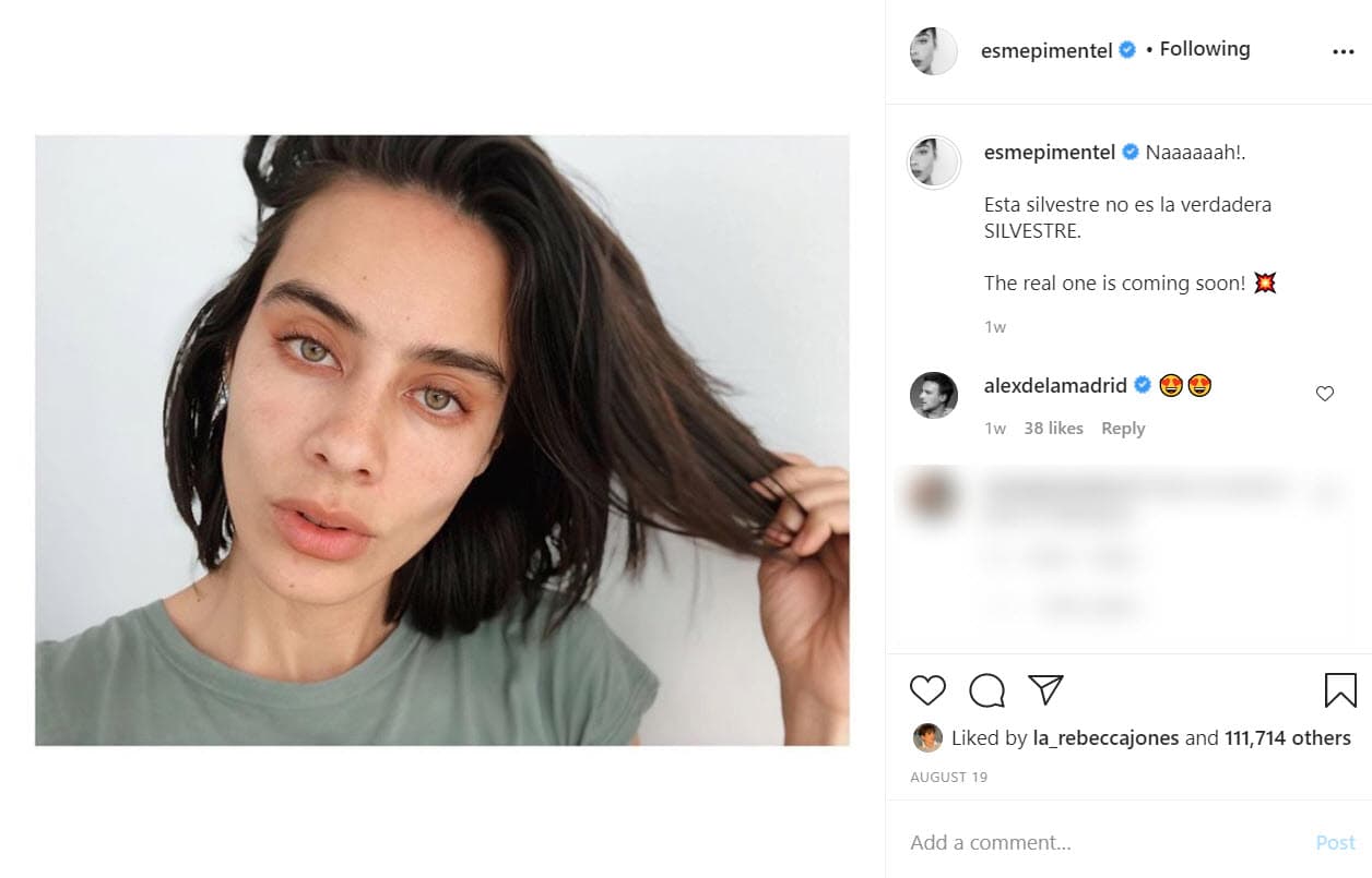 El pasado 19 de agosto compartió esta foto con la siguiente frase: "¡Nah! 
<b>Esta Silvestre no es la verdadera Silvestre</b>. ¡La verdadera llegará pronto!", anunció en Instagram.
<br>