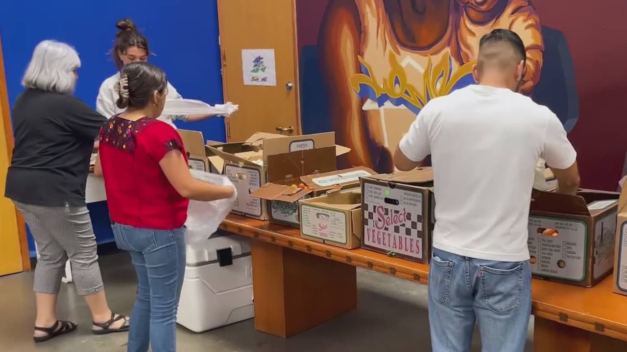 ¿Temor a salir por las redadas? Esto es lo que puedes hacer