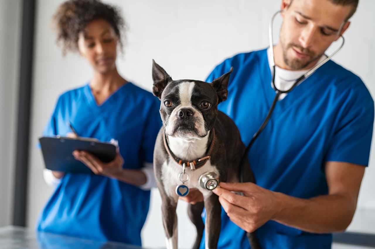 <b>Las personas con ingresos de $100,000 al año: pagan aproximadamente $16,334 en impuestos.</b> Los controladores de tránsito aéreo, gerentes de almacenes y veterinarios, entre otros, ganan alrededor de $100,000 al año. Según la 
<a href="https://www.ssa.gov/cgi-bin/netcomp.cgi?year=2018"><u>Administración del Seguro Social</u></a>, el 90% de los estadounidenses ganó esta cantidad o menos en 2018.