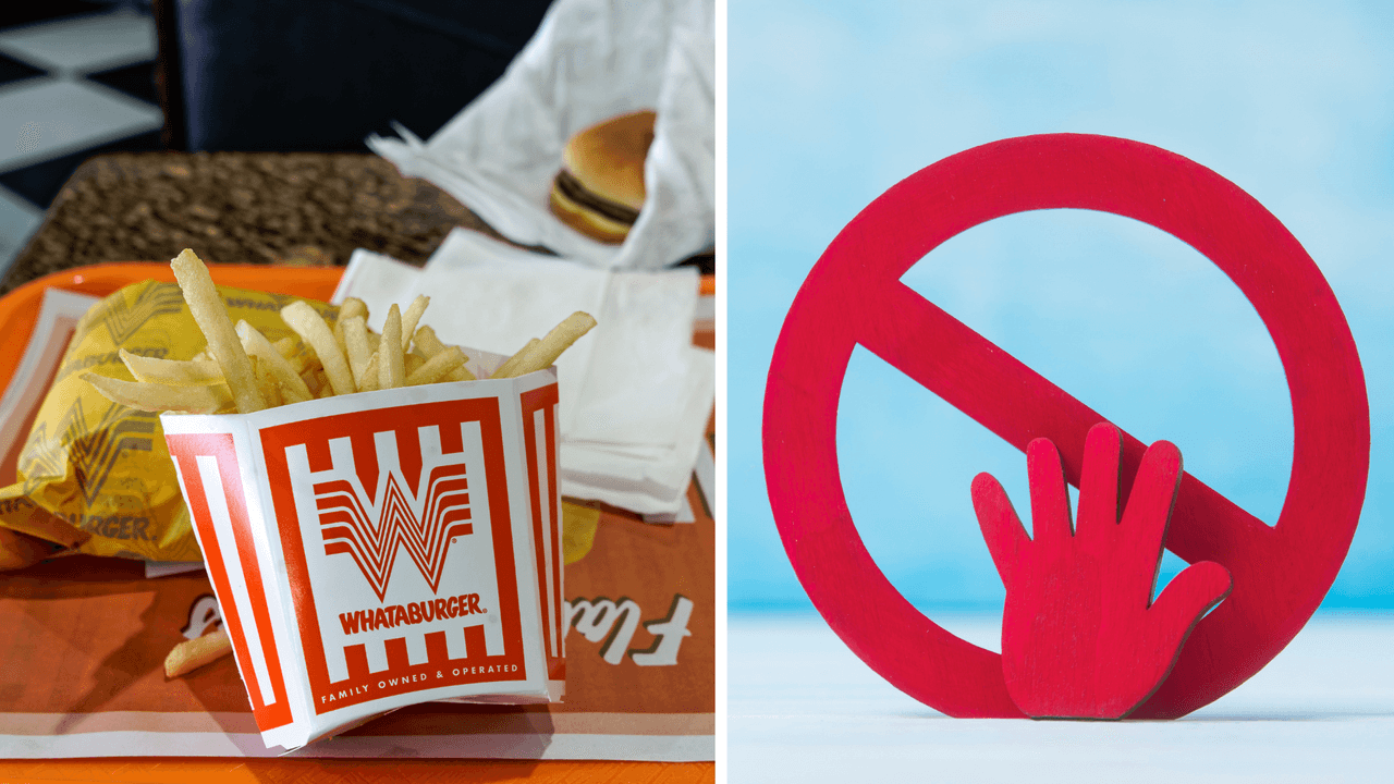 <h2 class="cms-H2-H2">3. Sándwiches, hamburguesas o bocadillos </h2>
<br>
<br>La única forma en la que puedes llevar sándwiches, hamburguesas o bocadillos es si éstos no tienen carnes ni quesos. ¿Entonces? 
<br>Están prohibidos los productos que contienen lácteos o carne, si no cuentan con un sello de una autoridad sanitaria.