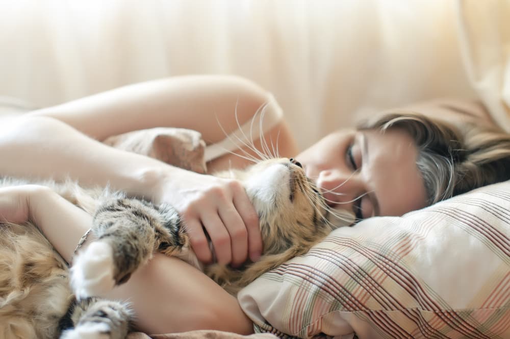 No duermas con un gato, porque te deja estéril.
<br>También se creía que si era una embarazada, podían pasarle alguna enfermedad al bebé o a la madre.