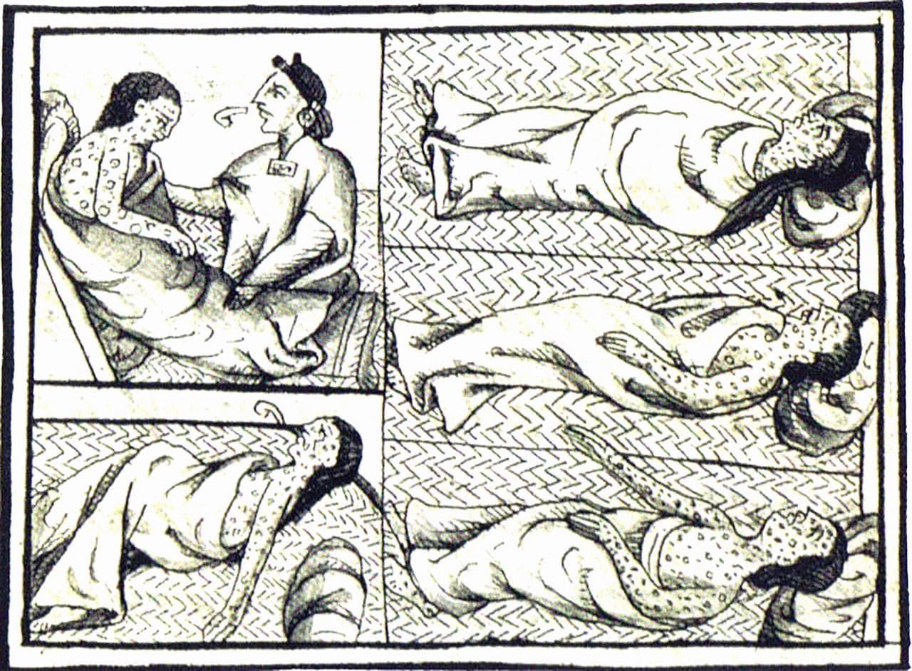 <b>La peste persa (1772-1773).</b> La peste es una enfermedad infecciosa transmitida de animales a humanos a través de las pulgas y existen tres diferentes tipos: bubónica, neumónica y septicémica. Este brote afectó el Golfo Pérsico y se extendió a India y Bahréin, dejando al menos dos millones de muertos. Fue la primera vez que en la zona se implementaron prácticas de cuarentena, pero en algunos lugares fue demasiado tarde. En Basora, Irak, la plaga cobró la vida de 250,000 personas en 1773.