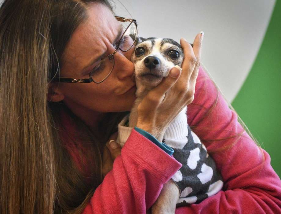 "¿Dónde has estado?": la increíble historia de 'La holandesa' que tras 12 años regresó a los brazos de su dueña