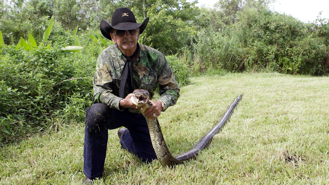 El hombre, quien trabaja para el Distrito de Administración del Agua del Sur de la Florida (SFWMD, por sus siglas en inglés), dijo que hay varias formas de atrapar a una pitón.
