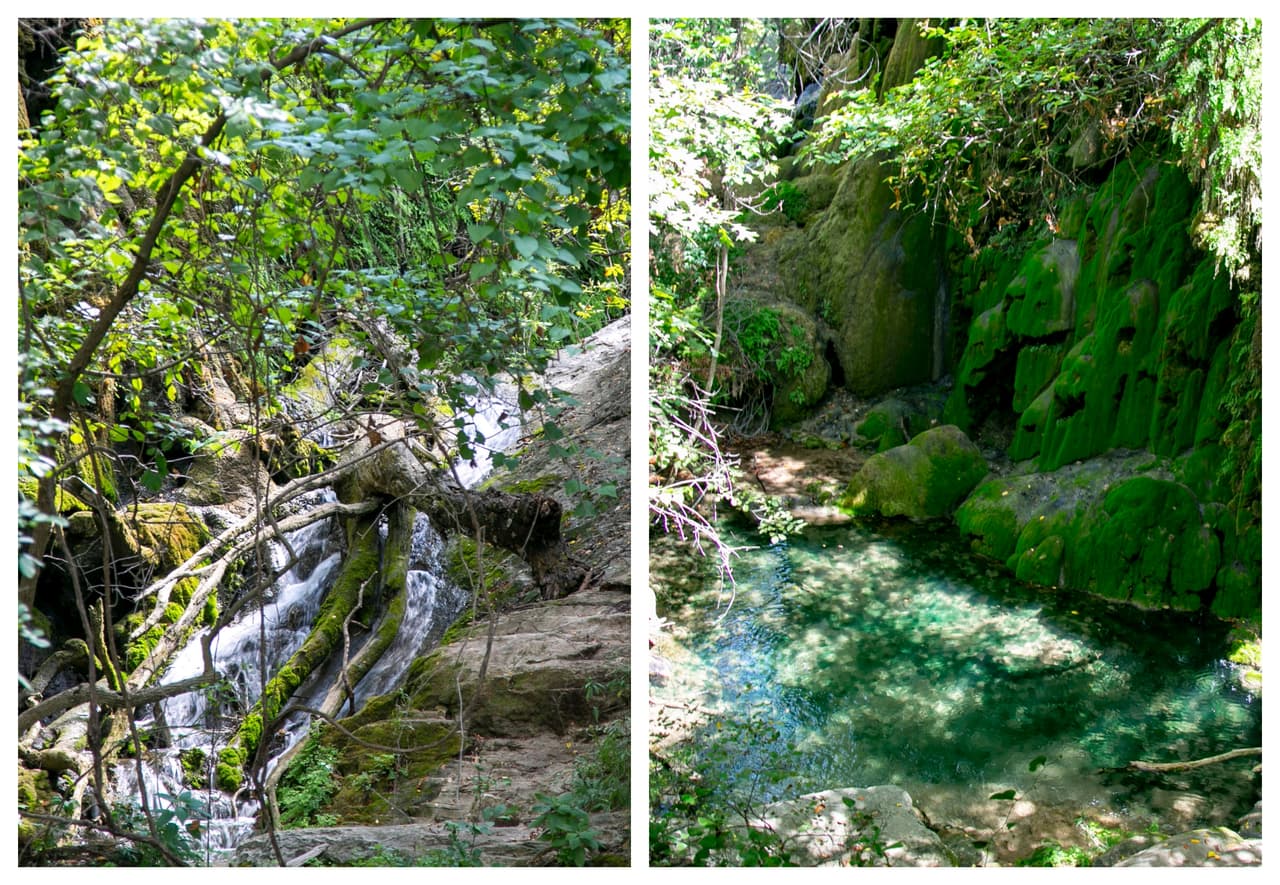 <b>Parque Estatal Colorado Bend</b>
<br>Ubicado cerca de Austin, tiene una cascada, senderos y cavernas para el disfrute de familias. El lugar tiene 35 millas de senderos para caminar y andar en bicicleta. 