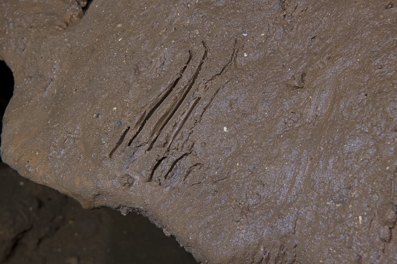 La imagen muestra marcas de 
<b>arañazos en las paredes de la cueva, producidas por algún tipo de carnívoro </b>que hasta el momento no ha sido identificado.