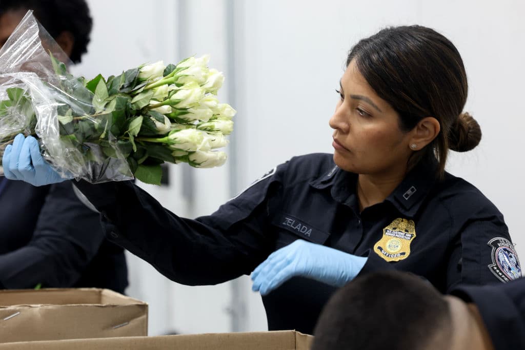 Las toneladas de flores que recibió el aeropuerto de Miami están valoradas en más de 1.600 millones de dólares.