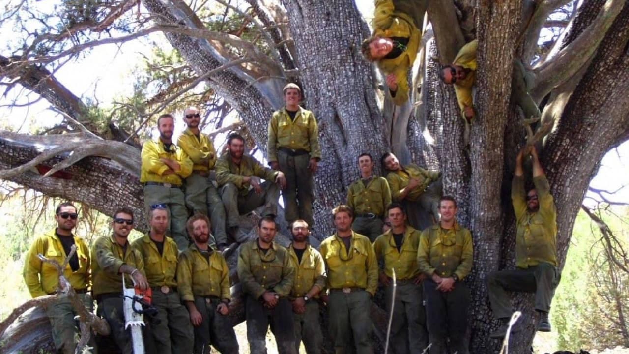 Diecinueve bomberos expertos que pertenecían al cuerpo de 
<a href="https://www.univision.com/noticias/noticias-de-eeuu/los-granite-mountain-hotshots-los-bomberos-de-elite-que-murieron-en-arizona">élite Granite Mountain Hotshots se vieron atrapados por un incendio foresta</a>l que se propagó en un área conocida como Yarnel Hill, el 30 de junio del 2013. 
<br>