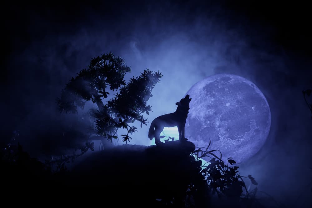 Llega la luna llena de lobo y así impacta a tu signo zodiacal 