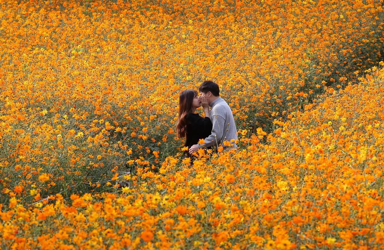Por lo que recomienda tener pareja estable o por lo menos conocer bien a las personas con las que se tienen intercambios íntimos apasionados. 
<br>
<br>