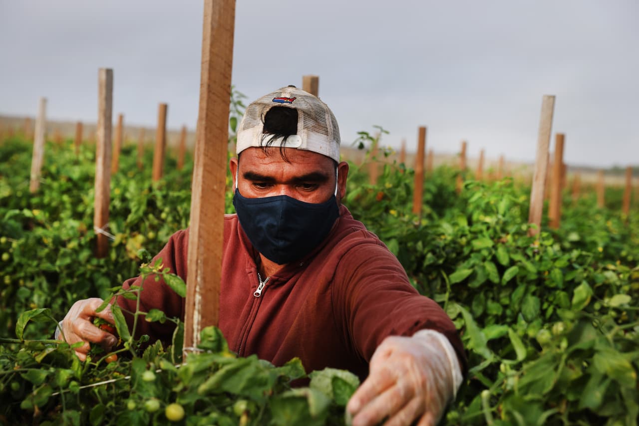 Estos republicanos votaron a favor de la dura ley antiinmigrantes de DeSantis: ahora les piden a trabajadores indocumentados que no huyan de Florida