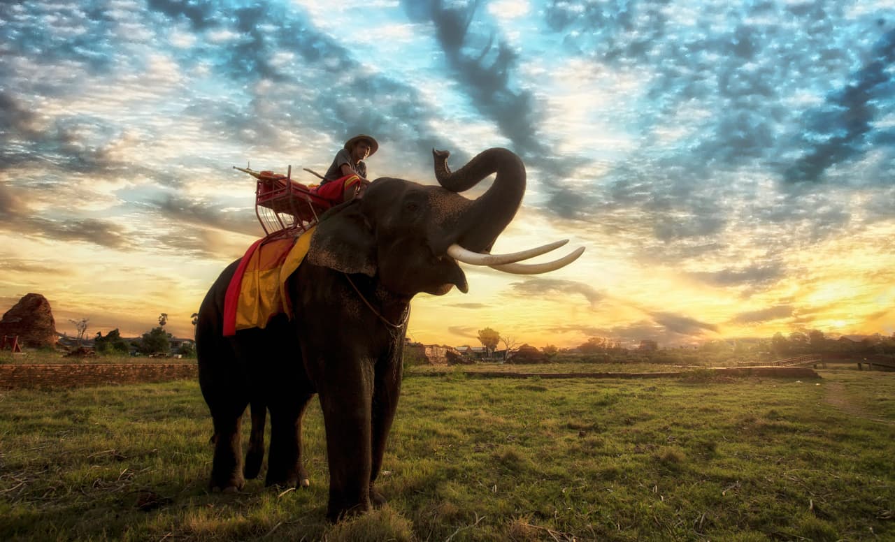 Tailandia. La isla Ko Samet es digna de visitar, entre otras tantas playas paradisíacas y familiares. Tailandia ofrece ‘shows’ de cocodrilos y paseos en elefante, señala Mateu.