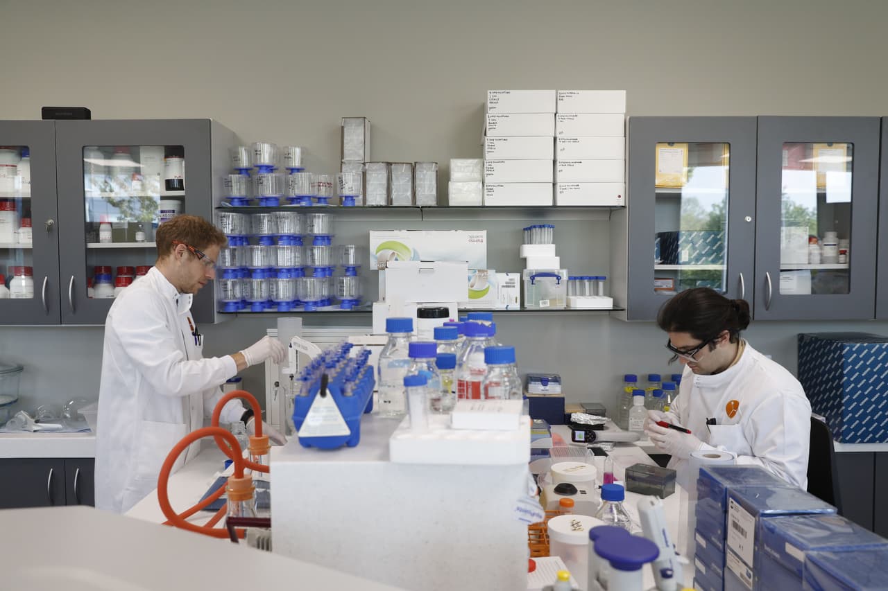 Los casos de coronavirus confirmados por los laboratorios privados y estatales deben disminuir durante 14 días. Actualmente, la trayectoria de los casos sigue aumentando, aunque a un ritmo más lento.