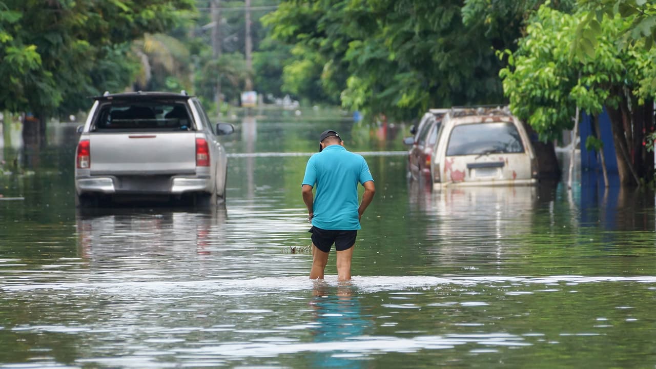 <b>Después de una inundación</b>
<br>- Mantente atento a las noticias para obtener información actualizada sobre las condiciones. 
<br>- Asegúrate de que el agua sea segura para beber, cocinar o limpiar después de una inundación. 
<br>- Evita las aguas de inundación: el agua estancada esconde muchos peligros, incluidas toxinas y productos químicos. 
<br>- Presta atención a las señales de carretera cerrada y precaución.
<br>- Comunícate con tu familia y seres queridos: déjales saber que te encuentras bien para que puedan ayudar a difundir la información.