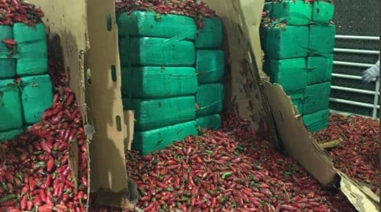 Encuentran 3.5 toneladas de marihuana ocultas entre jalapeños en un camión procedente de México