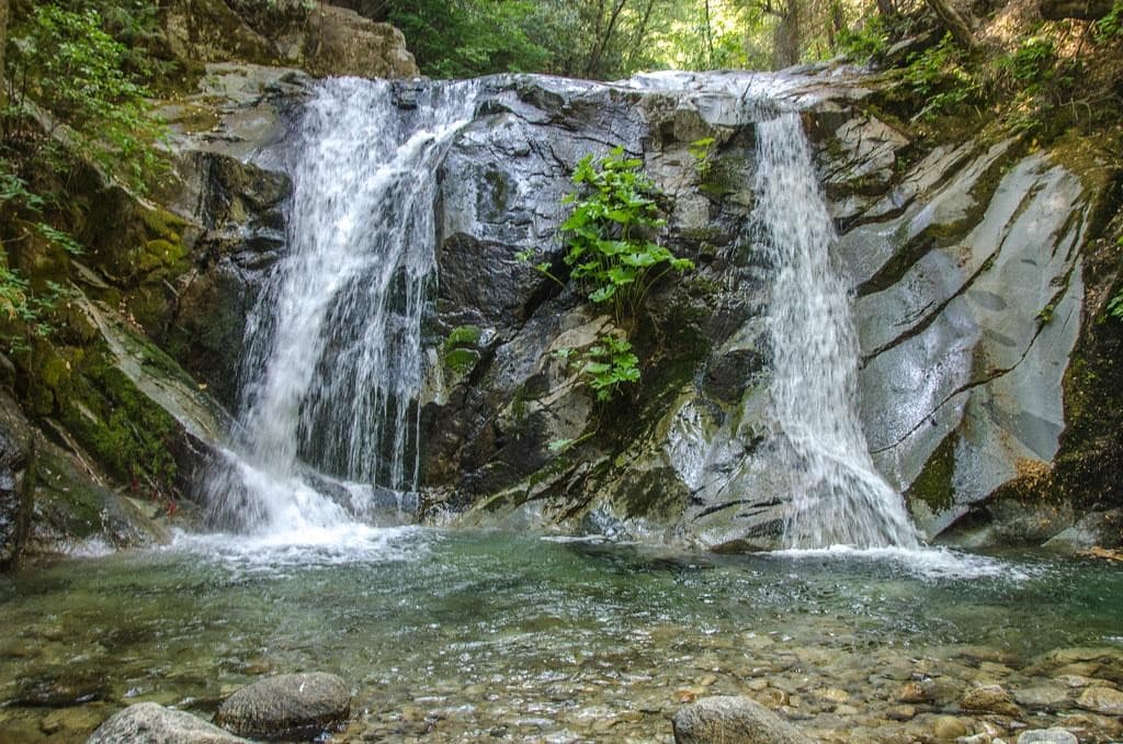 <a href="https://www.nps.gov/whis/planyourvisit/picnic-and-beaches.htm" target="_blank">Brandy Creek </a>se caracteriza por cinco grandes cascadas que caen sobre las rocas de granito pulido que se encuentran en su parte inferior. La cascada está rodeada de Ruibarbos Indios cuyas flores color rosa brillante proporcionan un paisaje ideal para los visitantes. Además, que el camino hacia las cataratas tiene escalones de roca tallados a mano y una barandilla de metal para ayudar a los excursionistas a llegar a la cima de la cascada de manera segura. 
<br>