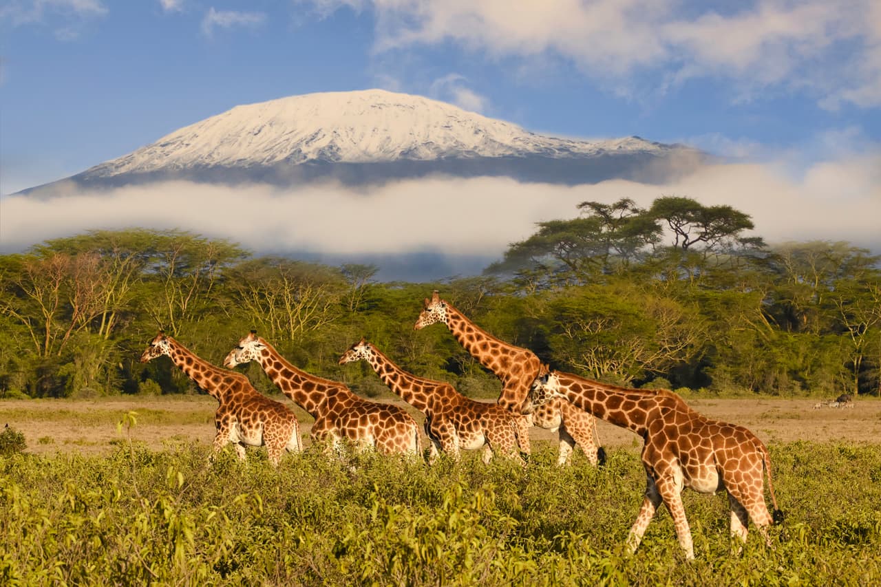 <b>18. Monte Kilimanjaro. Kilimanjaro National Park, Tanzania.</b>
<br>
<br>Es la montaña más alta de África con unos 19,340 pies (5,895 metros). Es la elevación montañosa independiente más alta del mundo (no pertenece a ninguna cadena de montañas).