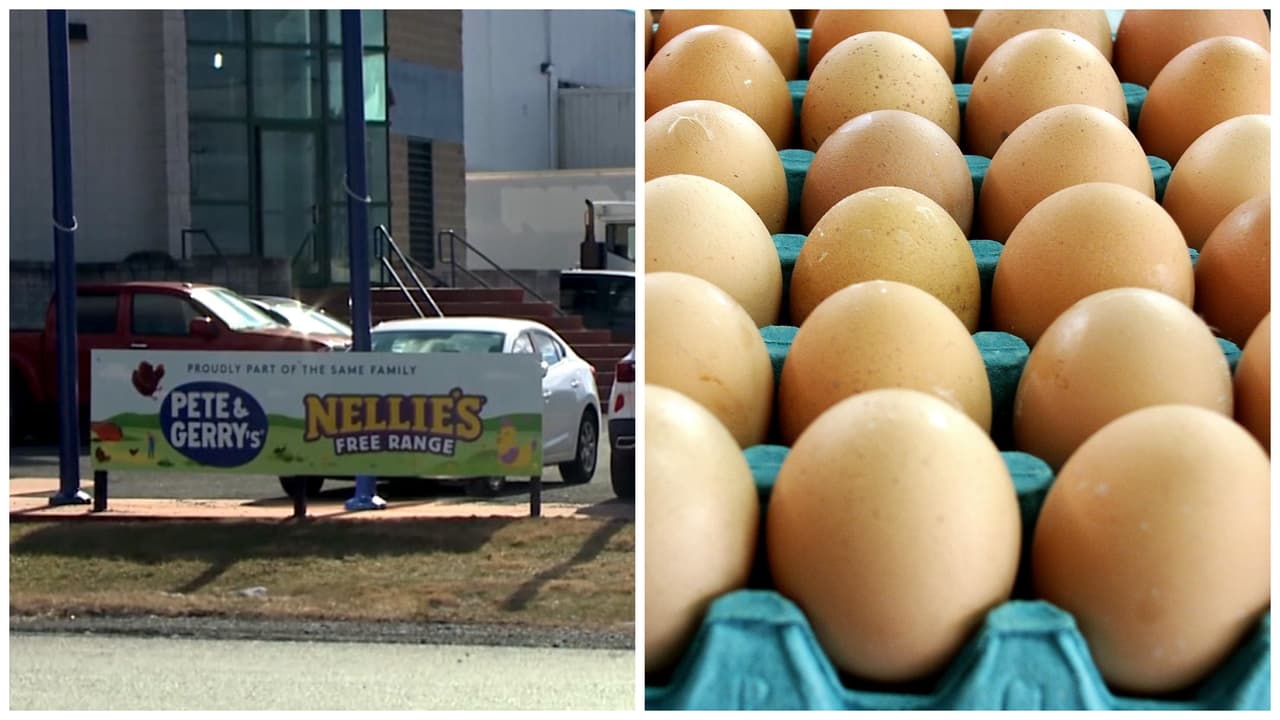 Buscan a los responsables del robo de 100,000 huevos de un camión en Pensilvania: ¿Cómo sucedió?