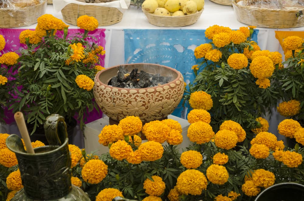 El fuego se representa con las velas, veladoras y cirios que dejemos encendidos. También se quema copal, una esencia sagrada en las culturas prehispánicas y que suele ser un elemento indispensable en el altar, aunque también se le sustituye por incienso, que sirve para alejar a los malos espíritus.