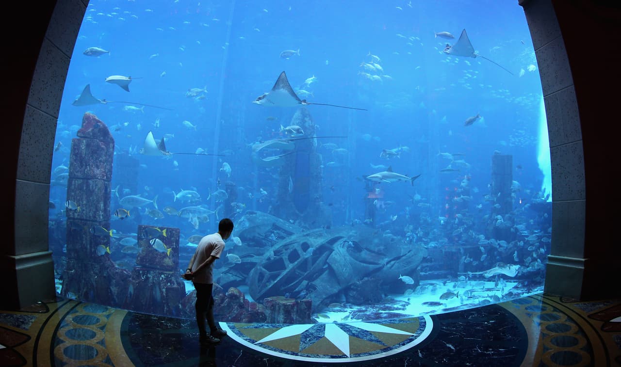Dubai. El Lic. Nicolás Mateu, operador turístico, sugiere visitar el parque acuático del hotel Atlantis.