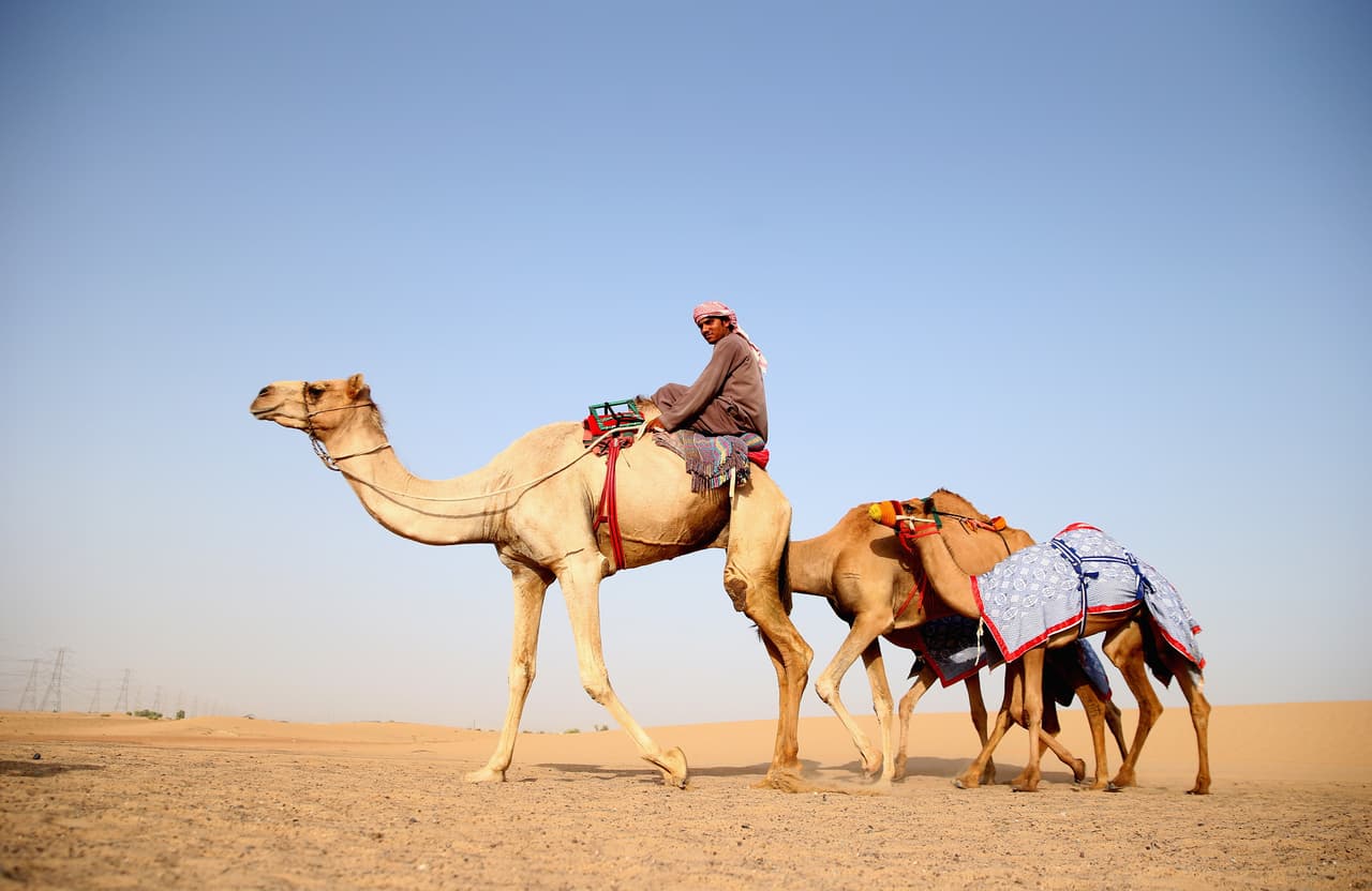 Pasear en 4x4 por el desierto, andar en camello al atardecer, disfrutar un ‘show’ de danza árabe, ver los edificios más altos del mundo o esquiar dentro de un ‘shopping’… ¡Todo en un sólo lugar!