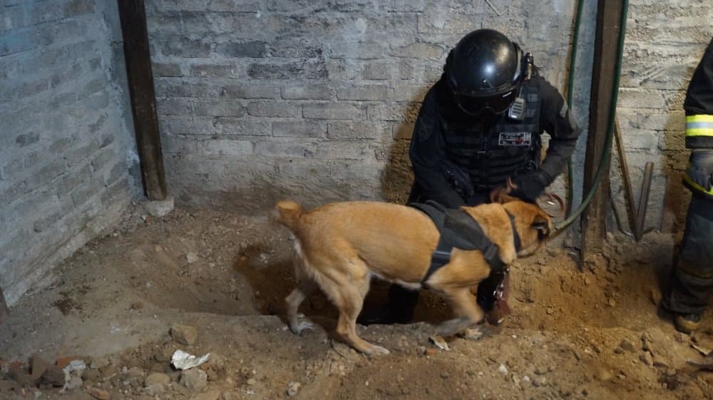 Las autoridades aprovecharon la ayuda del departamento de bomberos de la entidad, antropólogos, arqueólogos forenses, genetistas, peritos en criminalística, odontología, 
<a href="https://www.univision.com/temas/medicina">medicina</a> y fotografía, además de binomios caninos para indagar en la vivienda. Gracias a eso, pudieron encontrar ropa de mujer, identificaciones oficiales y otros elementos que hacen suponer que Andrés "N", 
<b>considerado un buen vecino, es en realidad un feminicida serial. </b>
<br>
<br>