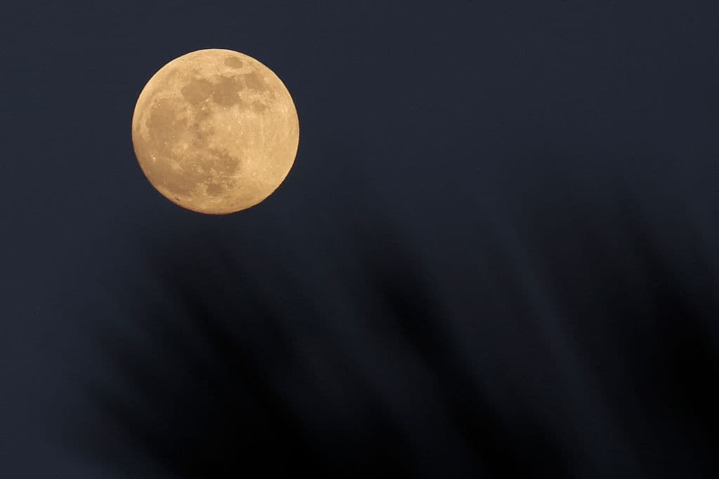 <b>Super luna:</b> El fenómeno llamado 
<a href="https://ciencia.nasa.gov/%C2%BFqu%C3%A9-es-una-superluna" target="_blank">supermoon o superluna</a> es cuando el satélite natural de la tierra, la luna, está en el punto más cercano a nuestro planeta al mismo tiempo que está en su fase de luna llena. La luna gira en una órbita alrededor de la tierra y cada mes está en el punto 
<a href="https://ciencia.nasa.gov/%C2%BFqu%C3%A9-es-una-superluna" target="_blank">“perigeo”</a>, el más cercano al planeta.