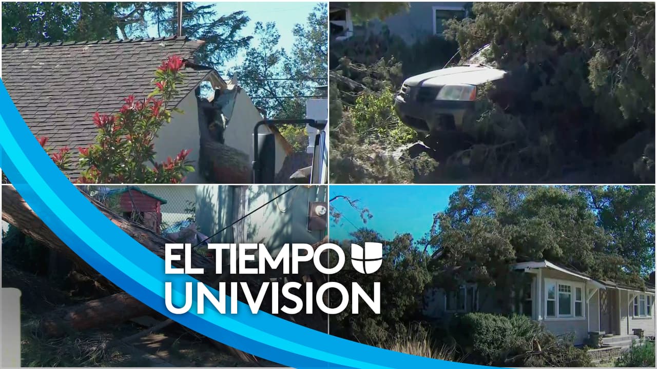 De acuerdo con el Servicio Meteorológico Nacional, vientos de entre 50 y 90 millas por hora registraron en el sur de California desde este viernes.