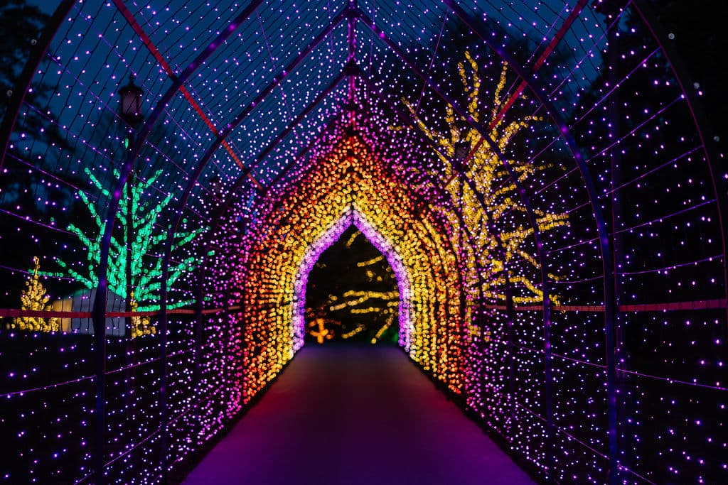 <b>Kennett Square</b>. Longwood Gardens siempre es impresionante, pero simplemente debes visitarlo en Navidad para presenciar sus increíbles decoraciones. Longwood Gardens cuenta con luces y decoraciones navideñas para interiores y exteriores, lo que lo convierte en uno de los destinos navideños más populares en Pensilvania.
<br>
<br>
<b><a href="https://goo.gl/maps/hhytGxUGRADD7qDR9">Cómo llegar</a></b>
