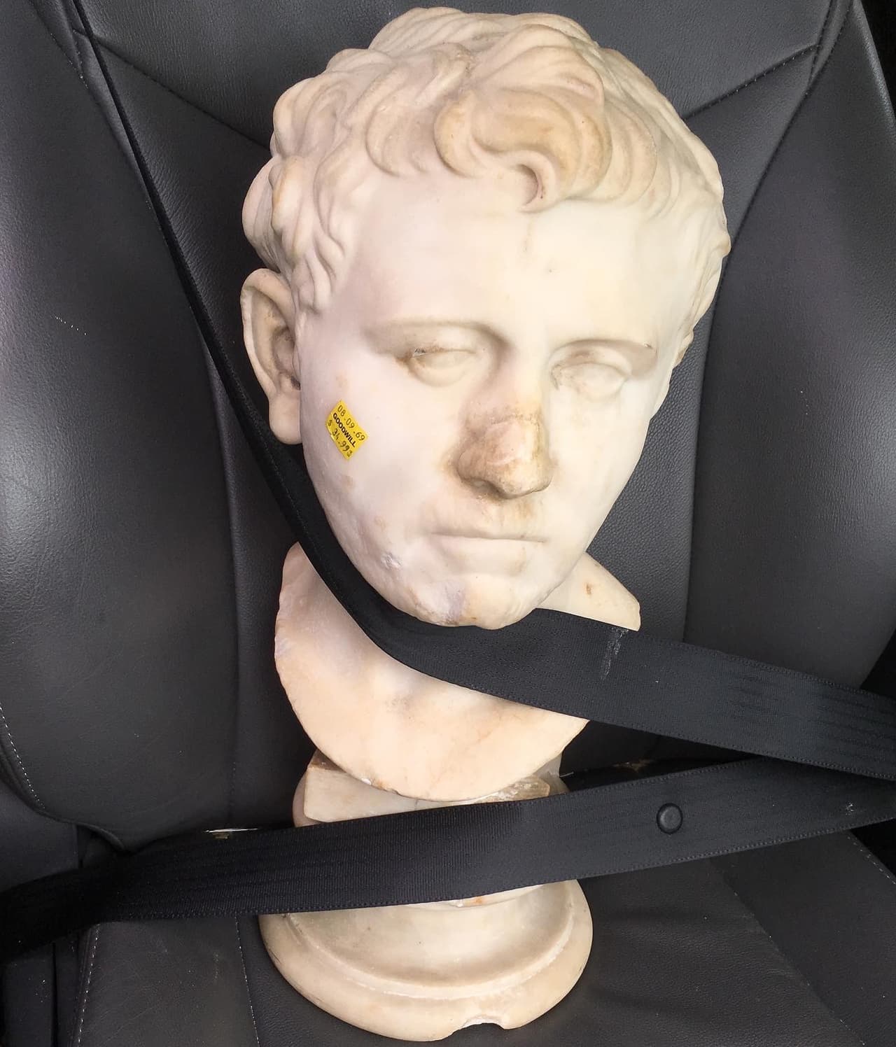 Así fue que Laura Young salió de la tienda con el busto romano. Bromea que le puso el cinturón de seguridad para protegerlo.